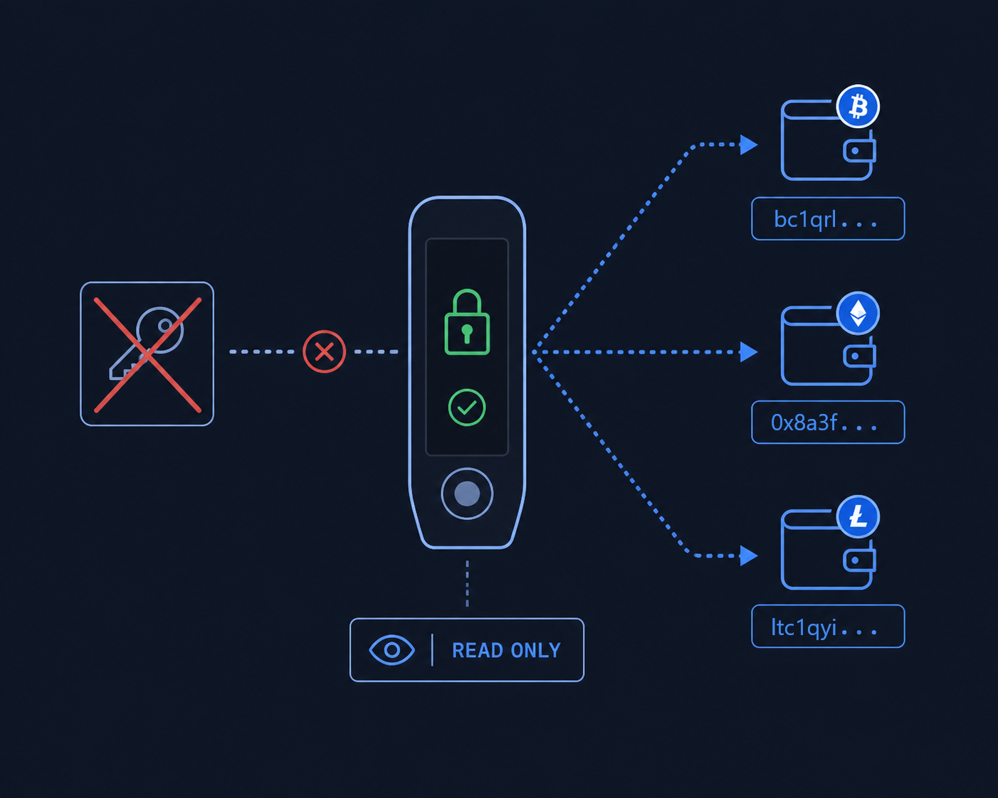 xPub Security Model — funds go directly to your wallet, we never hold them