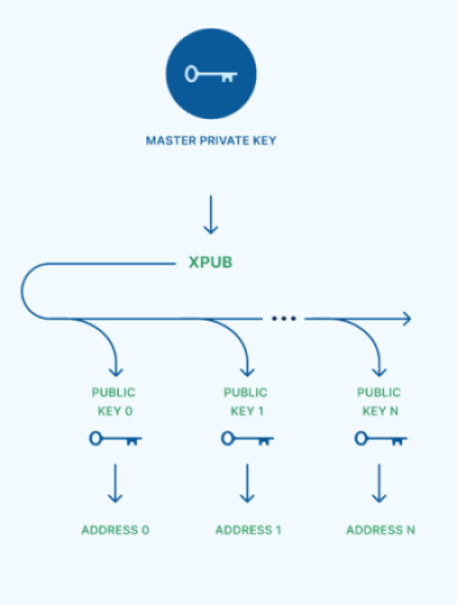 XPub Security Model - Secure Cryptocurrency Payment Processing